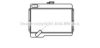 PRASCO AU2020 Radiator, engine cooling